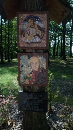 Image111