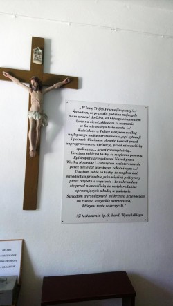 Image117